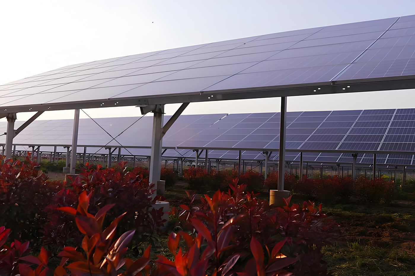 solar pv project Suqian, Jiangsu +350kw+ May 2022